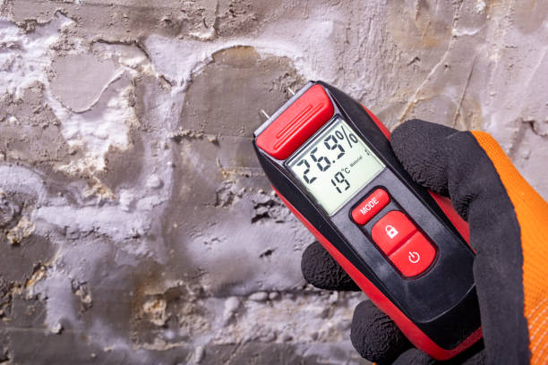 Best Attic Mold Remediation in Key West, FL