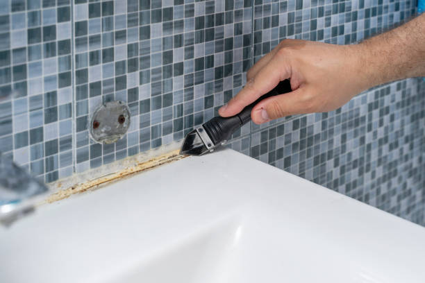 Best Preventive Mold Services in Key West, FL